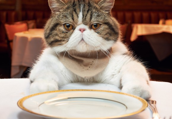 For any gourmand