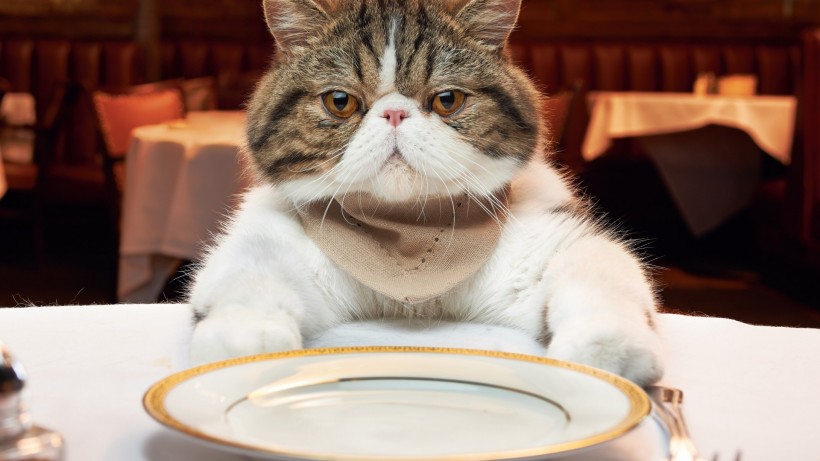 For any gourmand