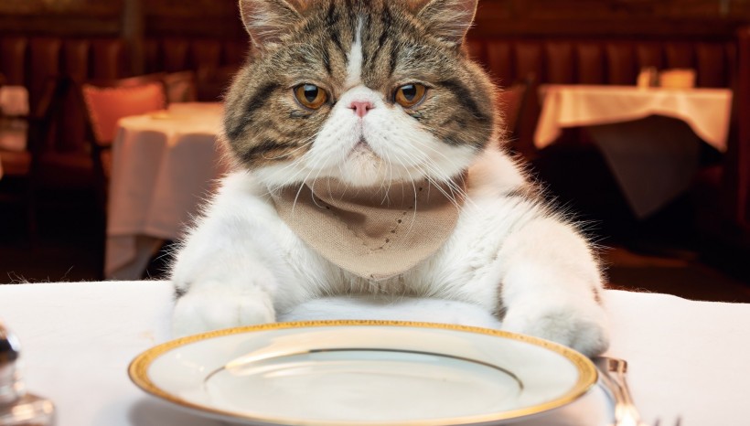 For any gourmand